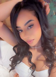 Paola - puta in Dubai Photo 1 of 6