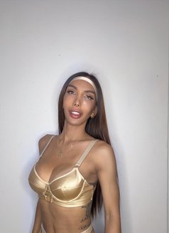 Paola Ts Versatile - Acompañantes transexual in Bangkok Photo 29 of 30