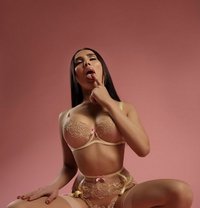 Casablanca exclusive - Transsexual escort in Al Manama