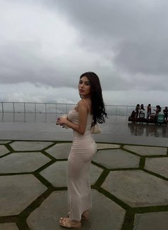 Kitty First Time Here - escort in Taipei Photo 9 of 15