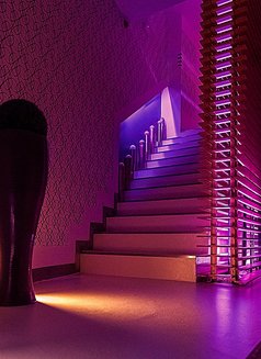 Paradise Lisbon Spa - Tantric Massage - masseuse in Lisbon Photo 5 of 30