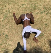 Kings an Queens palace - Acompañantes masculino in Johannesburg