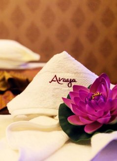 Paradiseon Spa Fullbody Erotic Massage - escort in Hyderabad Photo 8 of 26
