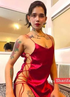 SAM - Transsexual escort in Kuwait Photo 3 of 10