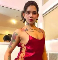 SAM - Transsexual escort in Kuwait