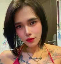 SAM - Transsexual escort in Kuwait