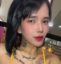 SAM - Acompañantes transexual in Kuwait