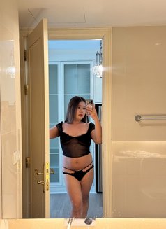 Parkney ladyboy i - Transsexual escort in Seoul Photo 5 of 5
