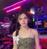 Party - Acompañantes transexual in Pattaya