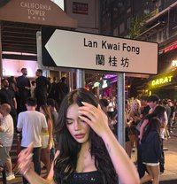 Partygirl Kassandrakate (GFE) - Transsexual escort in Manila