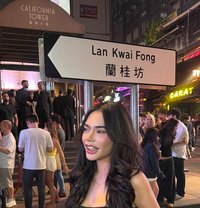 Partygirl Kassandrakate (GFE) - Transsexual escort in Manila