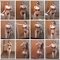 Passionate & Horny Mom, Olive - escort in Manila Photo 3 of 29