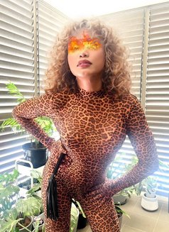 PASSIONATE & SENSUAL SERVICES - Transsexual escort in Parramatta NSW Photo 1 of 18