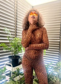 PASSIONATE & SENSUAL SERVICES - Transsexual escort in Parramatta NSW Photo 3 of 18