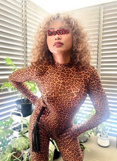 PASSIONATE & SENSUAL SERVICES - Acompañantes transexual in Parramatta NSW Photo 1 of 1