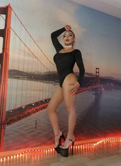 Patricia - Transsexual escort in Sofia Photo 11 of 16