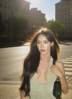 Patricia Thai Ladyboy - Acompañantes transexual in Prague (Praha) Photo 7 of 18