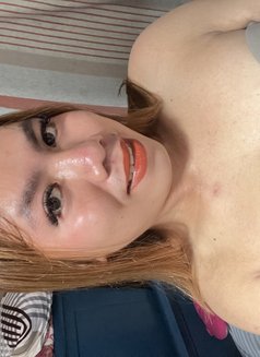 Patriciaaquinooo - Acompañantes transexual in Manila Photo 3 of 3