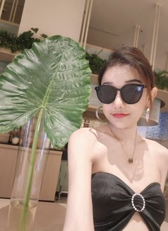 Pattaya escort 🇰🇷 - escort in Pattaya Photo 9 of 19