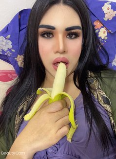 Patty ladyboy Thailand - Acompañantes transexual in Muscat Photo 21 of 25