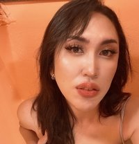 Patty - Transsexual escort agency in Phuket