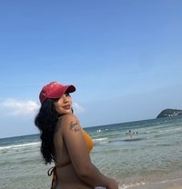 Paula big ass young girl - escort in Pattaya Photo 12 of 12