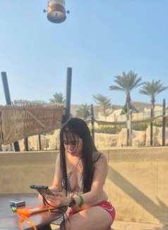 Paula both smooth ass thick bigdick🥵🥵 - Transsexual escort in Abu Dhabi Photo 13 of 17