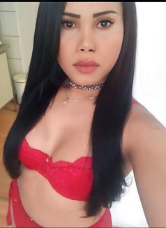 Paula - Acompañantes transexual in Seoul Photo 7 of 12