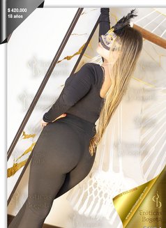 Paula Eroticas - puta in Bogotá Photo 5 of 14