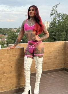 Paula Gutiérrez, Colombia - Transsexual escort in Dubai Photo 13 of 19
