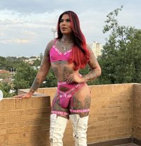 Paula Gutiérrez, Colombia - Acompañantes transexual in Dubai