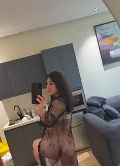 Paula - Transsexual escort in Riyadh Photo 11 of 15