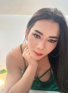 Paulaladyboy - Transsexual escort in Ajmān Photo 7 of 7