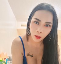 Paulaladyboy - Acompañantes transexual in Dubai
