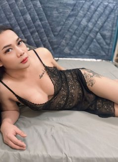 Paulaladyboy - Transsexual escort in Ajmān Photo 6 of 8