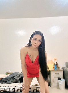 Paulaladyboy - Transsexual escort in Ajmān Photo 7 of 8