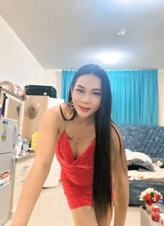 Paulaladyboy - Transsexual escort in Ajmān Photo 8 of 8