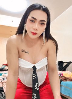 Paulaladyboy - Transsexual escort in Dubai Photo 7 of 8