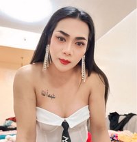 Paulaladyboy - Transsexual escort in Dubai