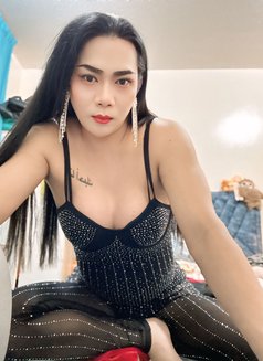 Paulaladyboy - Transsexual escort in Dubai Photo 8 of 8