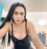 Paulaladyboy - Acompañantes transexual in Dubai