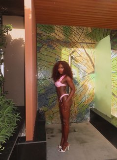 Paulina - escort in Dubai Photo 8 of 8