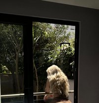 Pav - escort in Melbourne