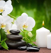 Pav - escort in Melbourne