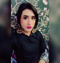 Zareen jaan - Acompañantes transexual in New Delhi