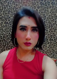 Pavitra Mistress - Transsexual escort in New Delhi Photo 28 of 28