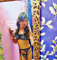 Pavitra Mistress - Transsexual escort in New Delhi