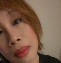 Paw Bottom - Acompañantes masculino in Riyadh