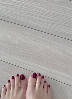 Payal 21y, ( kashmiri beauty ) - puta in Dubai Photo 12 of 12