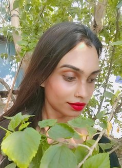 Payal Jaan - Transsexual escort in Kolkata Photo 22 of 23